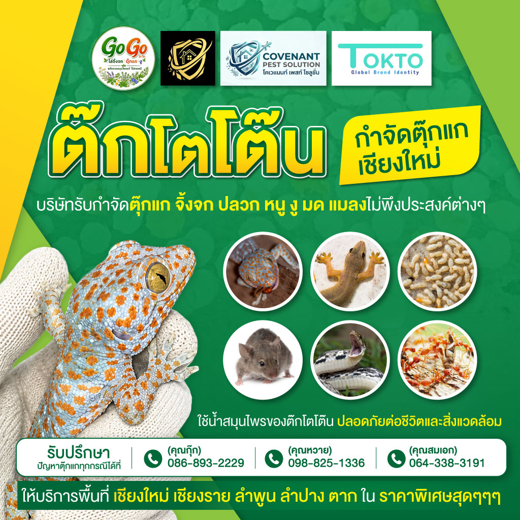 โคเวแนนท์ เพลสท์ โซลูชั่น